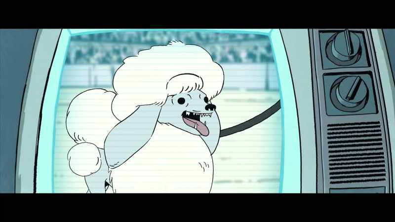 Now, dogs