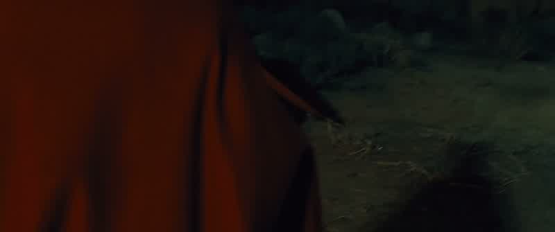 Now don't get madWhat the hell did you doI set the car on fireHow the hell are we supposed to get homeWe're in the middle of the fucking desert BillyYeah that's the least of our worriesWhat else did