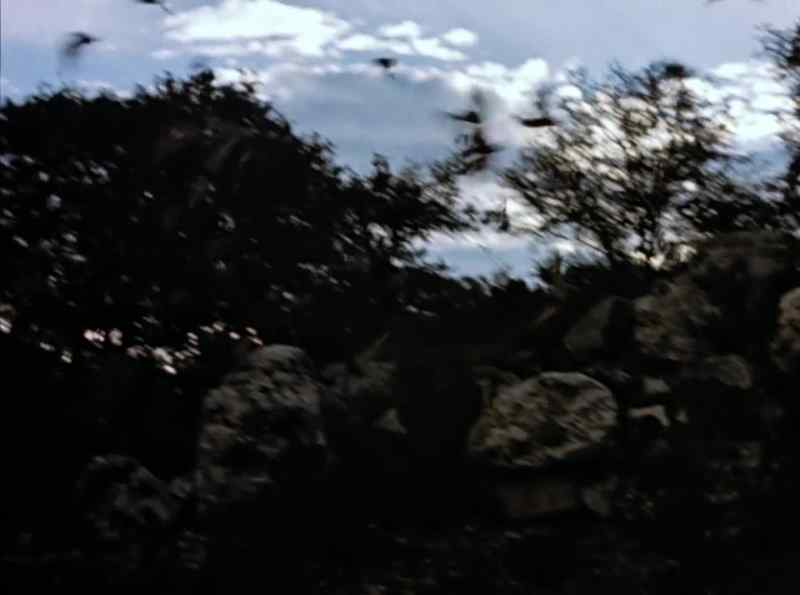 Now as evening approaches