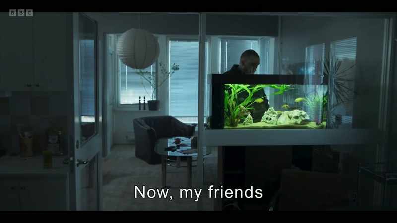Now, my friends