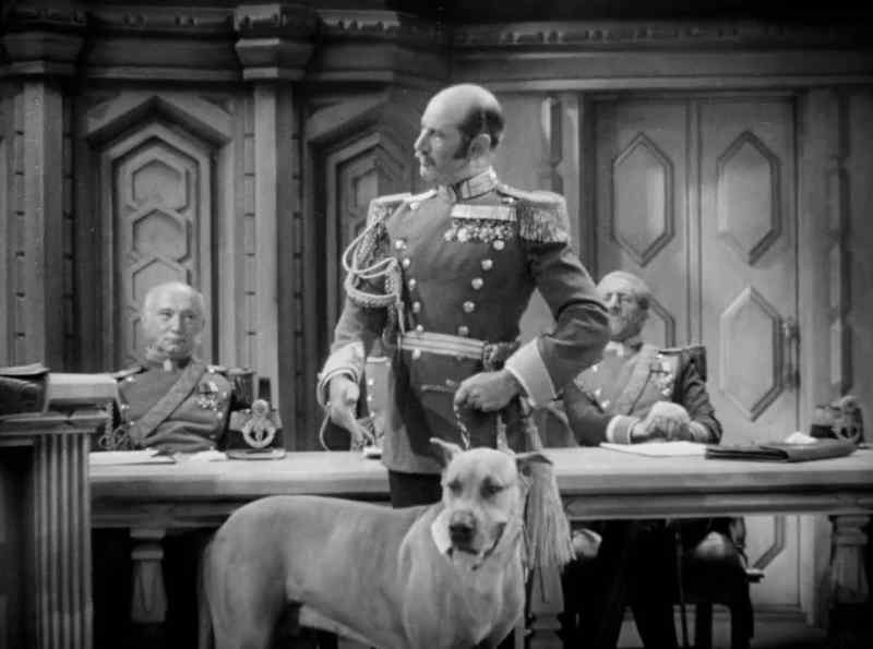 Now, generals of the jury