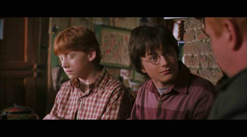 Now, Harry, you must know all about Muggles