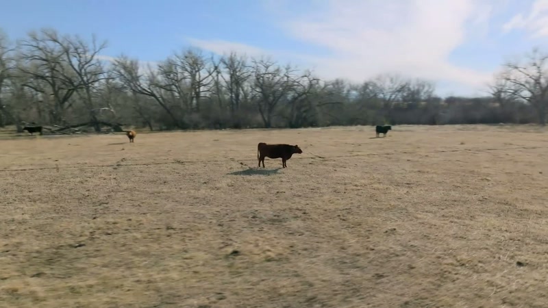 Now, here's a ranch in Colorado