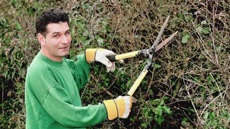 Now, Horton was a gardener