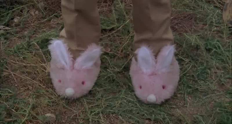 Now I am called Tu ka Chinchilla