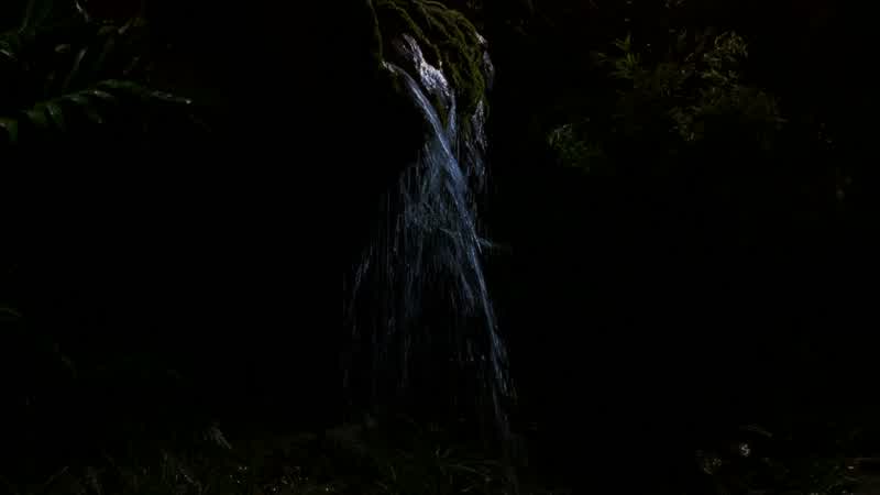 Now, I found fresh water up in the valley