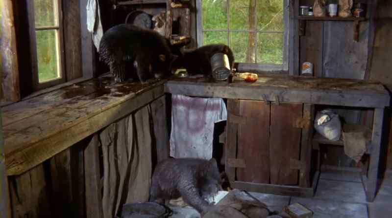 NOW I NEVER DREAMED THAT A BEAR CUB'S APPETITE