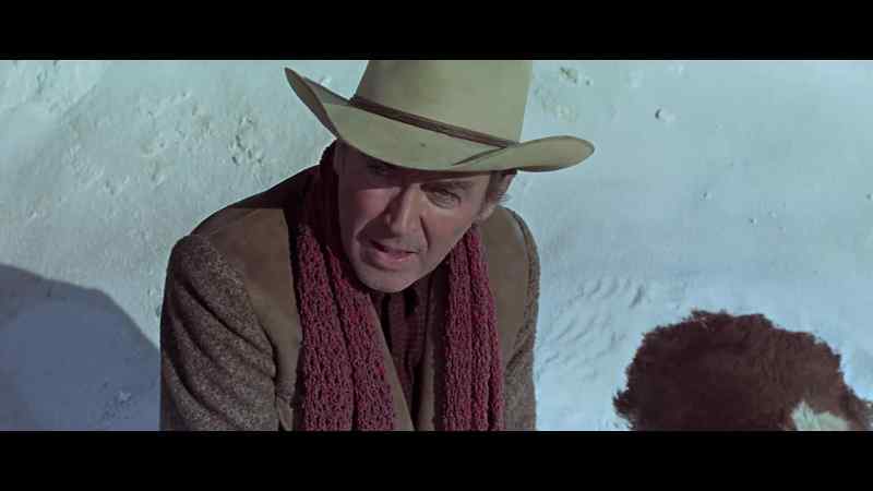 Now, I want you to tell Bowen