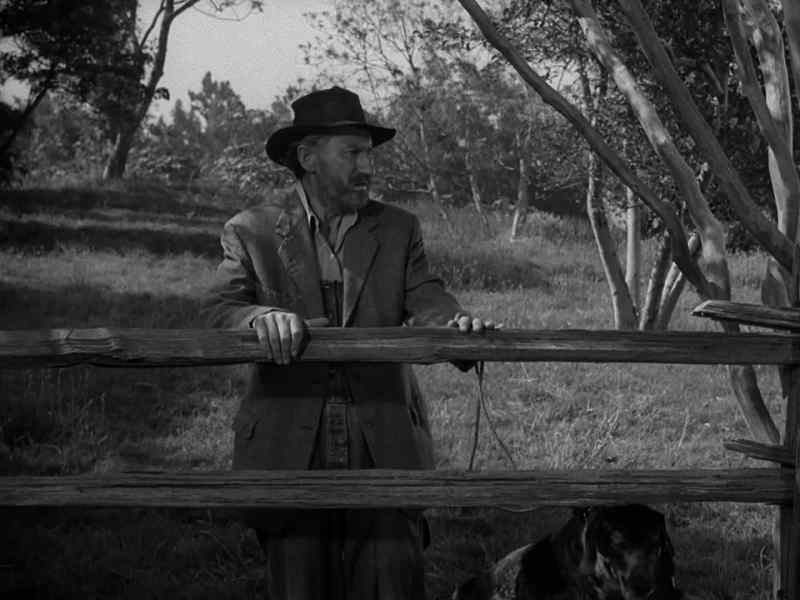 Now, who in the tarnation built this fence up here?