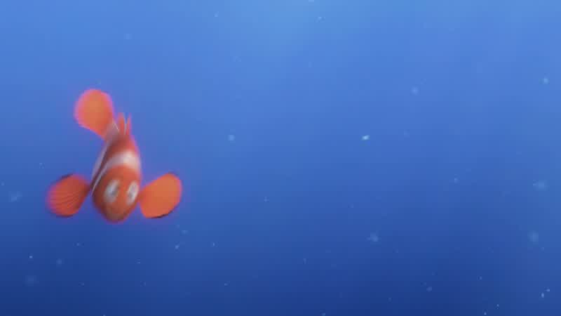 Dory Dory Dory Now it's my turnI'm thinking of something dark and mysteriousIt's a fish we don't know If we ask it directionsit could ingest us and spit out our bonesWhat is it with men and asking for