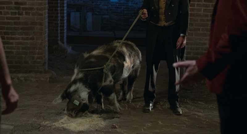Now Kevin, I want you to look at these two creatures