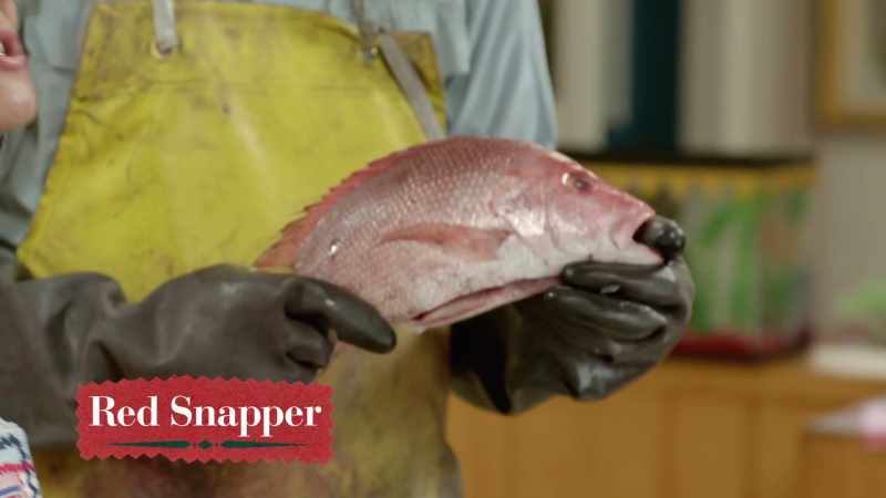 Now, you know it's the red snapper because it's red