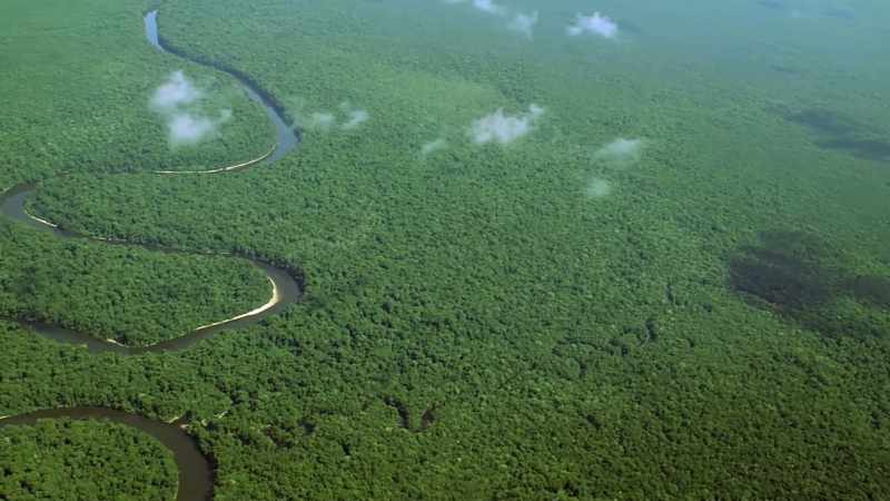 Now, let's take a lazy log ride down the Amazon River