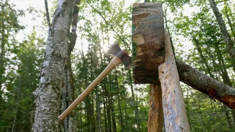 Now Melissa has hooked me up with Timber Tina