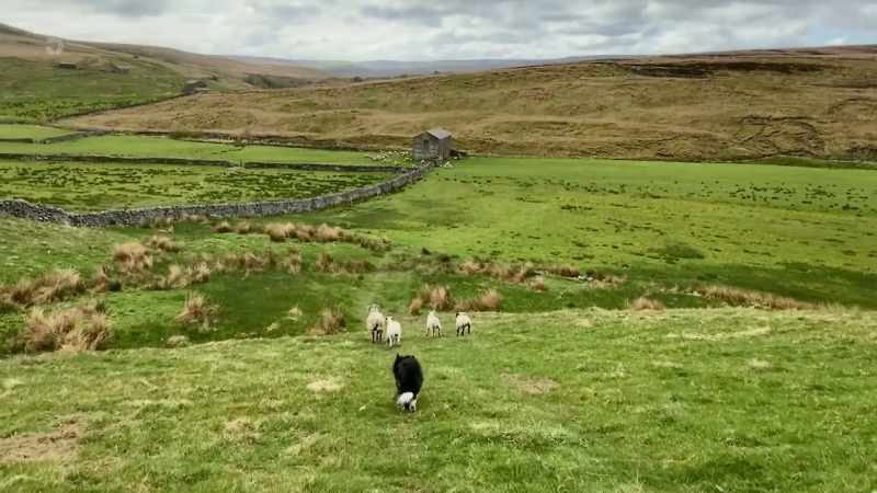 Now mid-May, though isolation continues