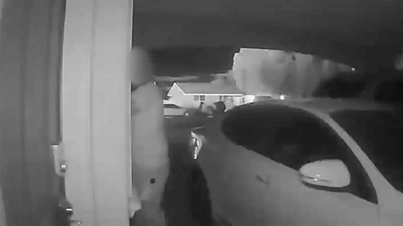 �Now another neighbor shows up to help
