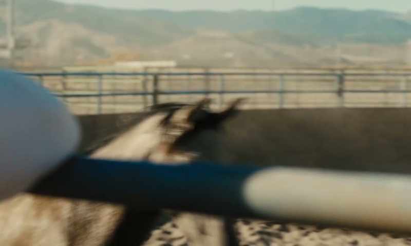 Now, normally, when you start a new horse