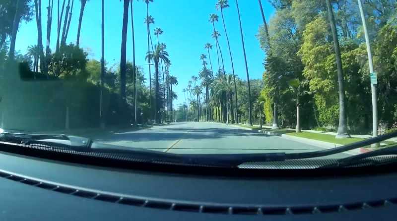 Now palms stand for glamour and celebrity