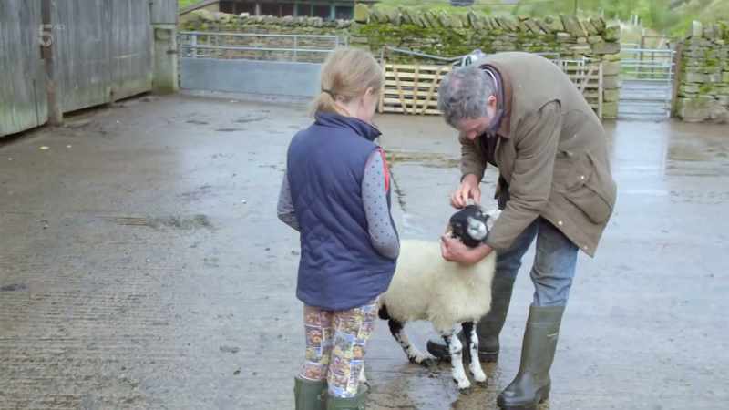 Now, people are going to ask you how he's bred