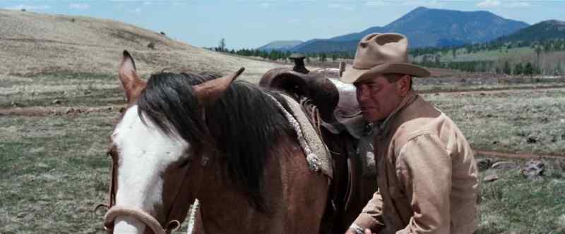 Now, please, just this one time, don't buck, huh?