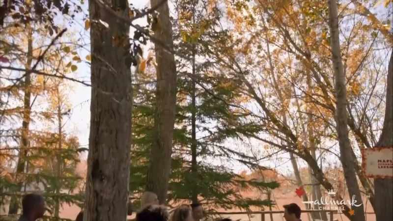 Now remember, spring is tapping season