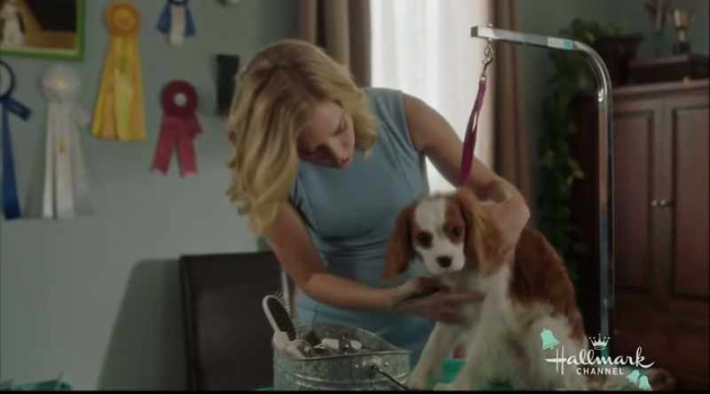 Now, remember, you are a show dog