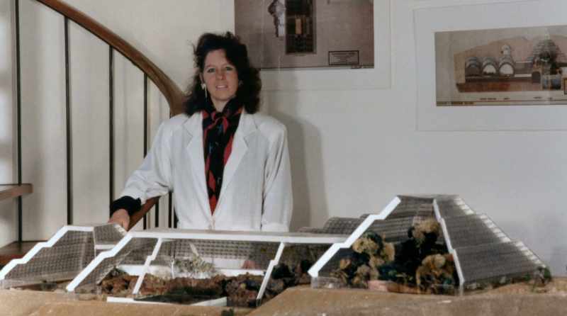 Now, she was the CEO, and co‐architect