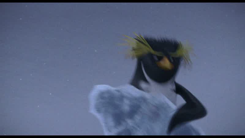 I used to scout songbirds Toucans for this musical revue in BrazilNow that's show business Toucans