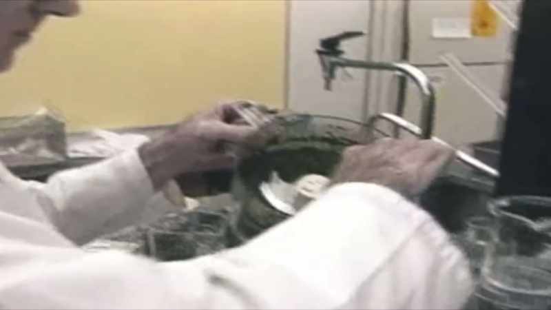 Now, the FDA has determined the scientific link