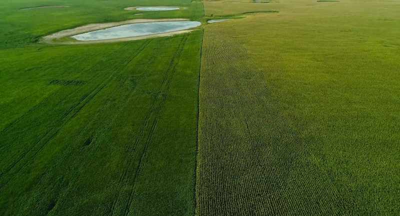 Now the two predominant crops are corn and soybeans
