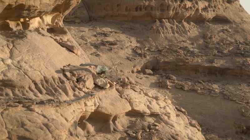 Now, the Velociraptors can finally spring their ambush