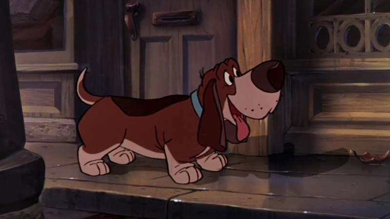 Now Toby sit