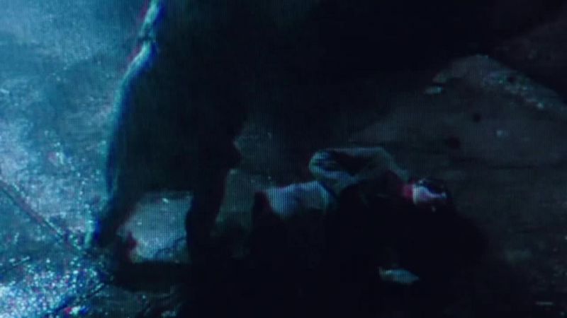 Now, what the hell was that?