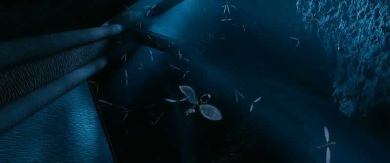 Now, what would three young Gryffindors such as yourselves