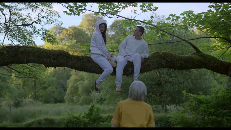 Now would you get down out that bloody tree before