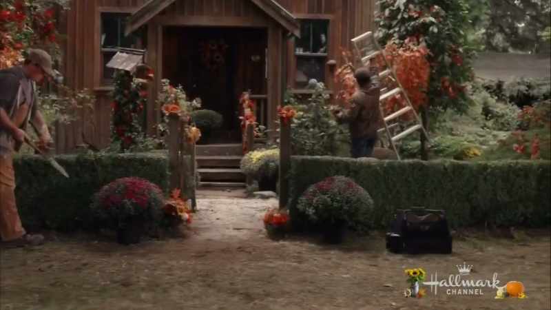 Now, if you could just move that potted plant
