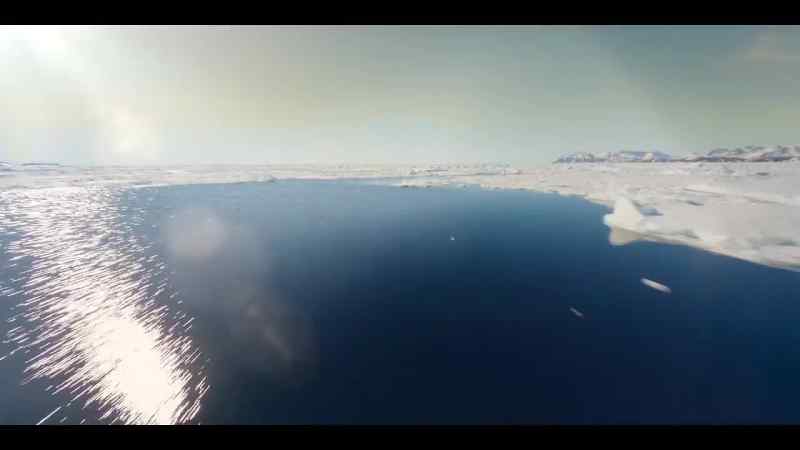 Nowhere is the warming ocean current having a bigger impact