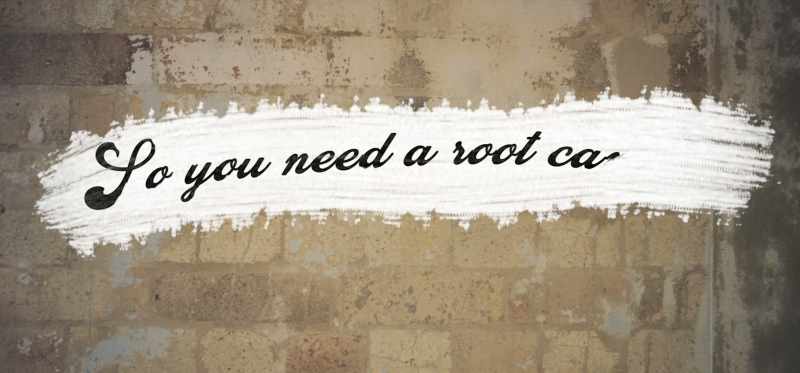 [nurse] So your dentist says you need a root canal