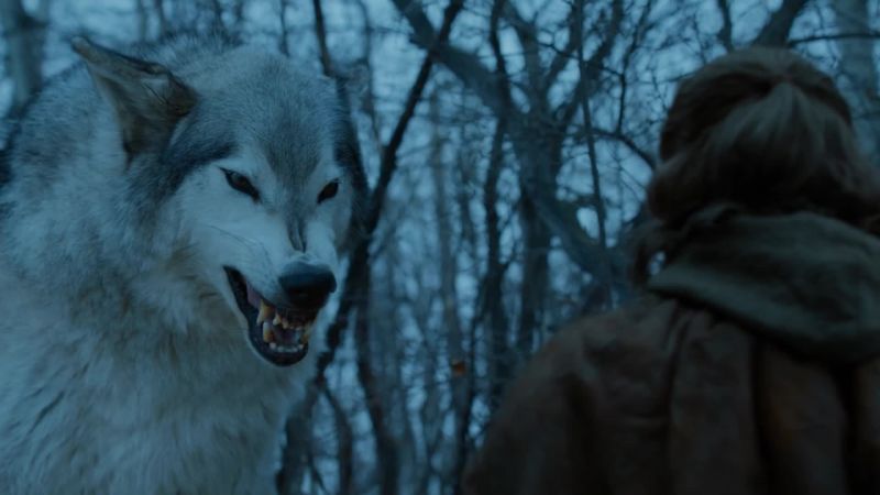 Nymeria?