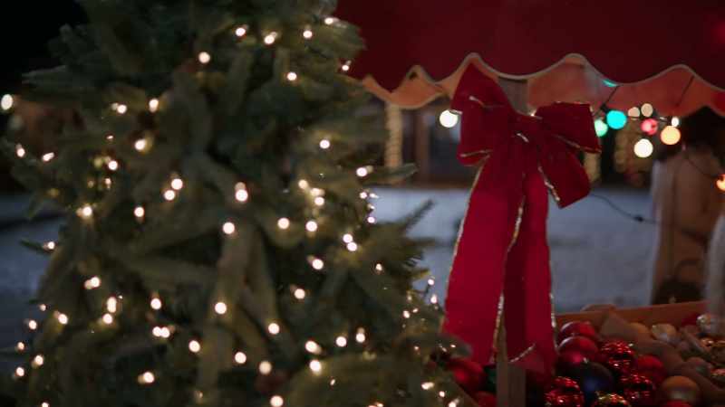 �� O Christmas tree, o Christmas tree ♪