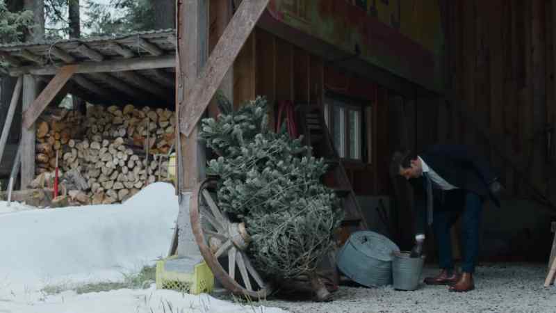 * O, Christmas tree O, Christmas tree *
