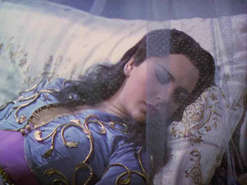 O djinni, shall I never see you again?
