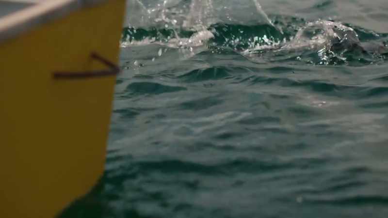 (oar splashes in water)