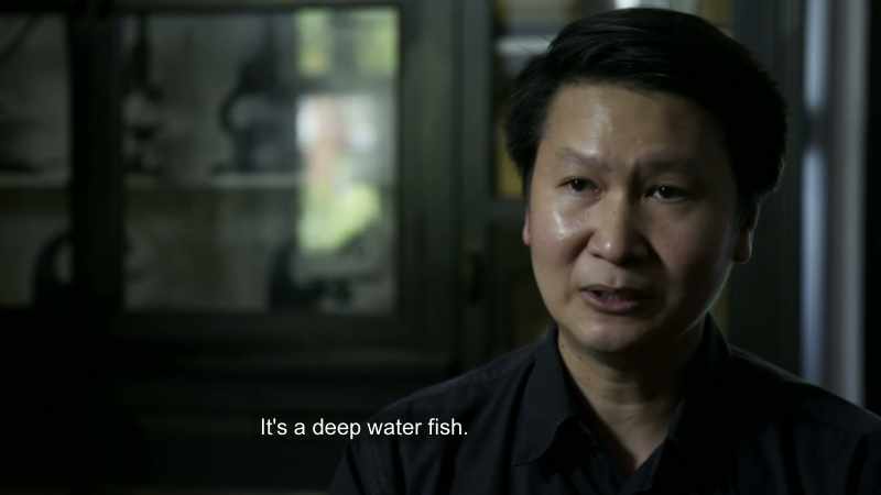 oarfish-are-extraordinary-giants