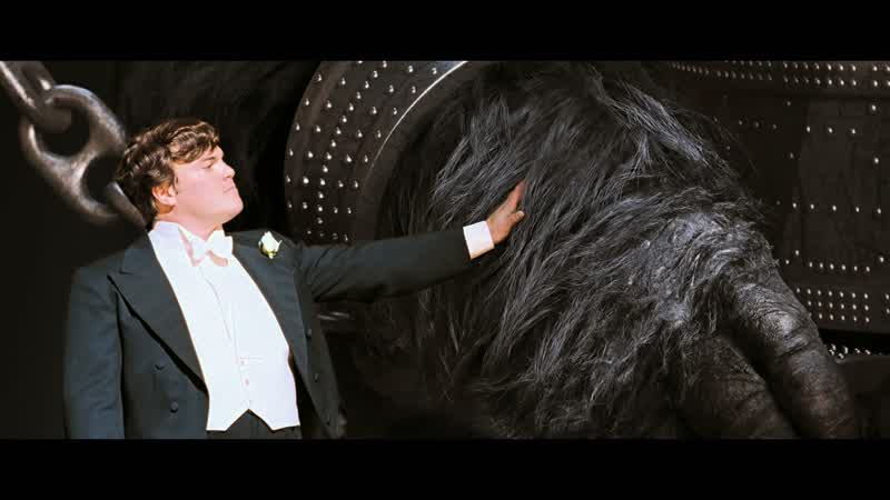 I am touching the beast