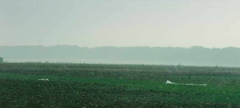 Obviously, we couldn't harvest in the rain