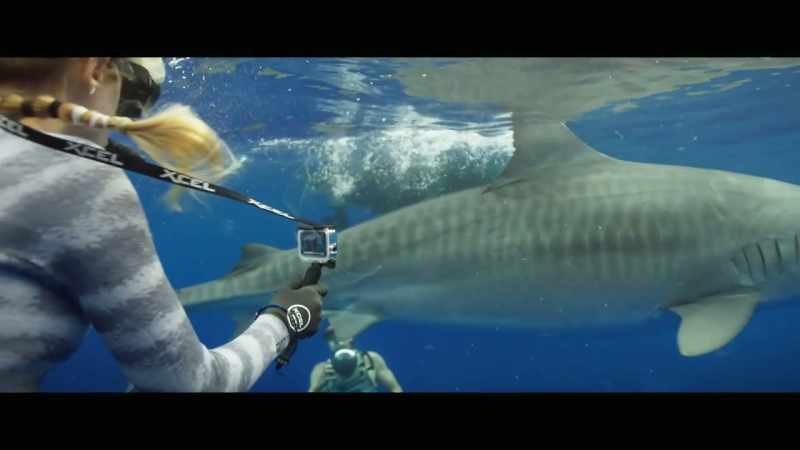 [Ocean] And so we've used that research