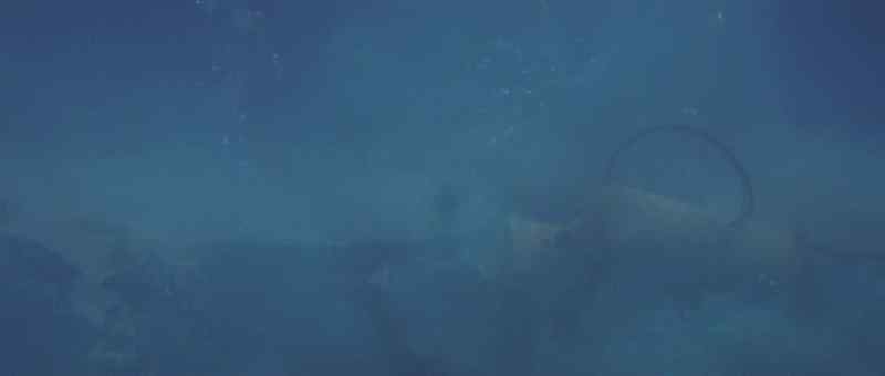 Ocean Lab, this is Triton. Do you hear me?