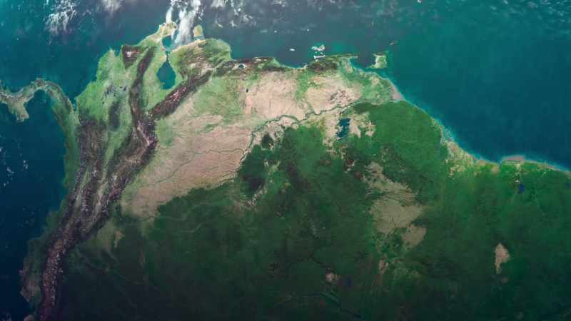 Of all the forests at risk