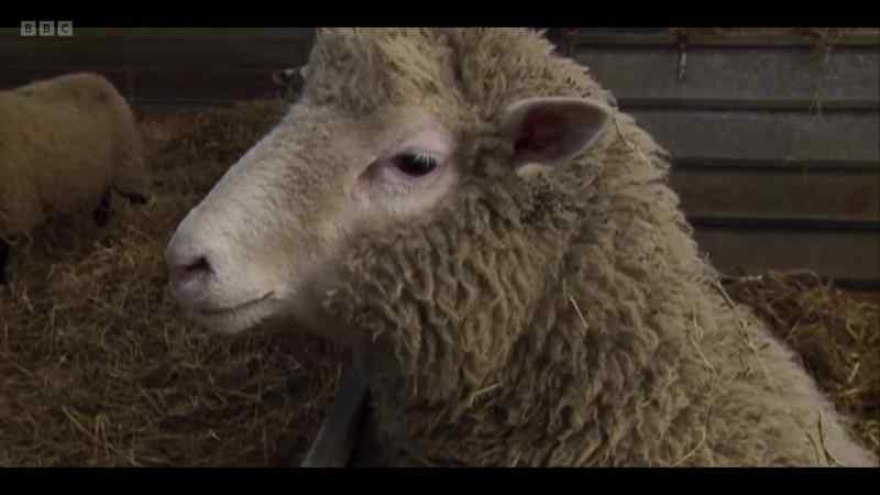 Of course, cloning raises awkward questions